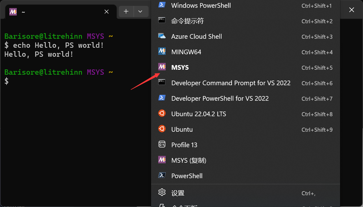 Windows 终端中的 MSYS2 示例图片